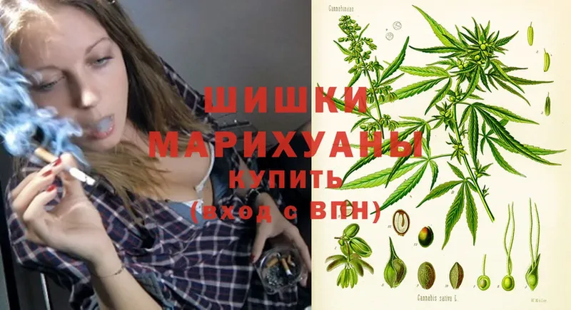 Шишки марихуана OG Kush  дарнет шоп  Новокубанск 